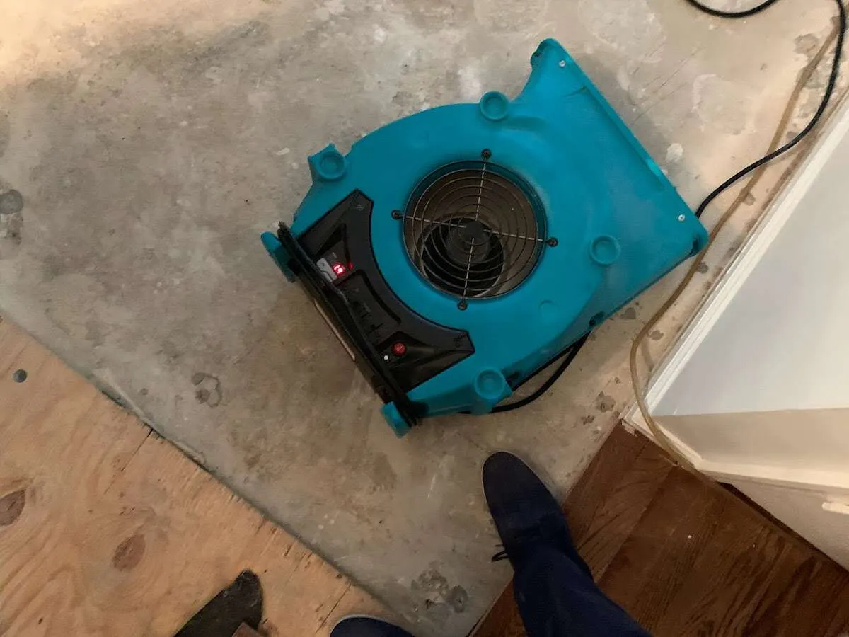 Air mover drying subfloor during Commercial Water Damage Restoration in Albany